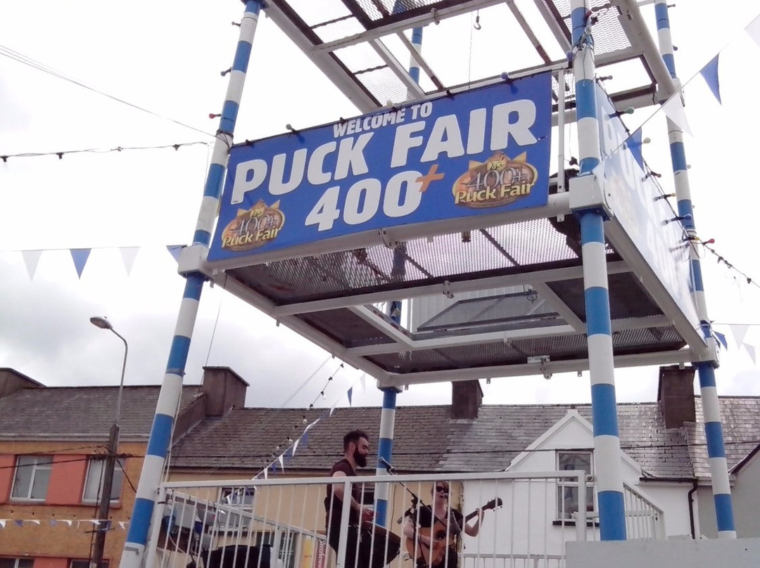 Puck Fair-Killorglin必去景点