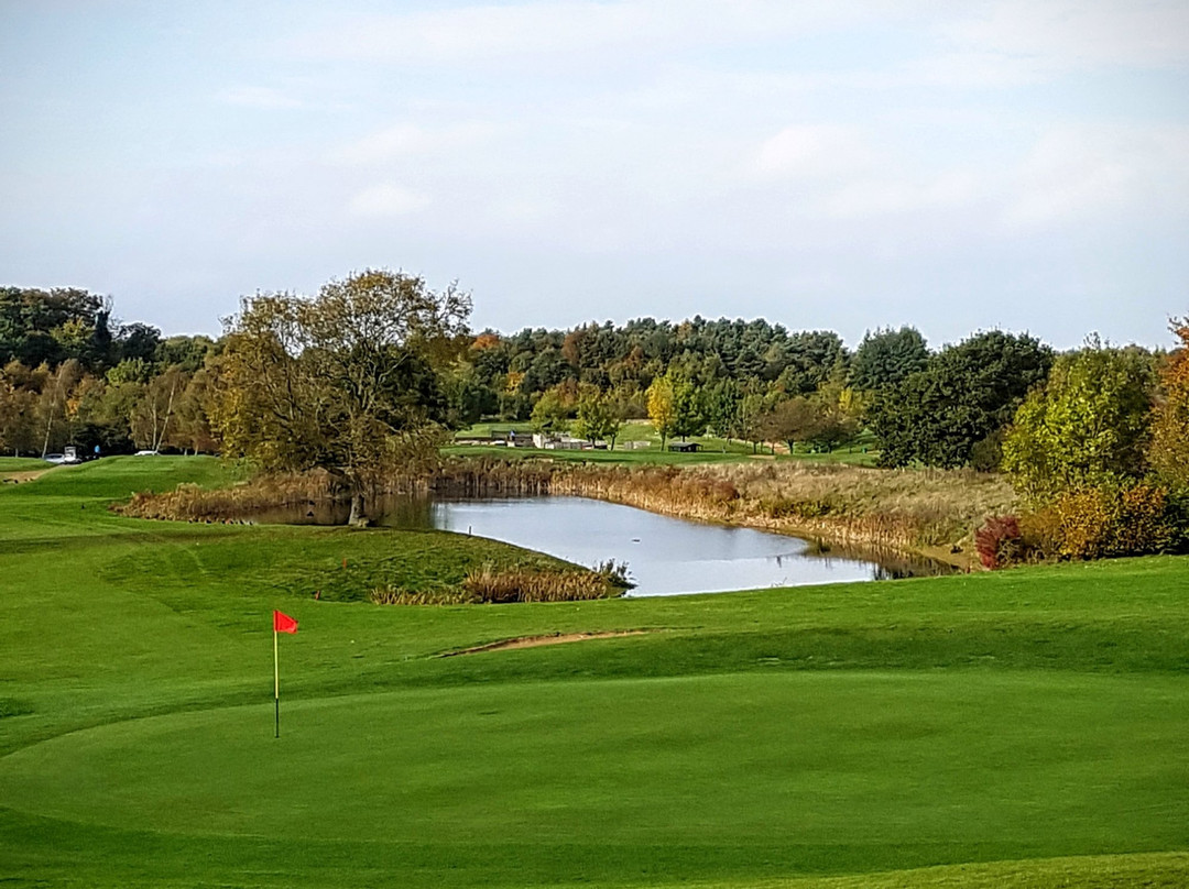 Dummer Golf Club景点图片