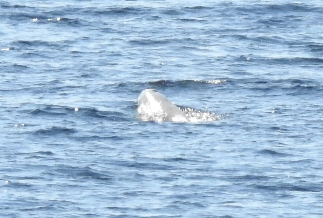 Baie Sainte-Marguerite-Sacré-Coeur-Saguenay必去景点