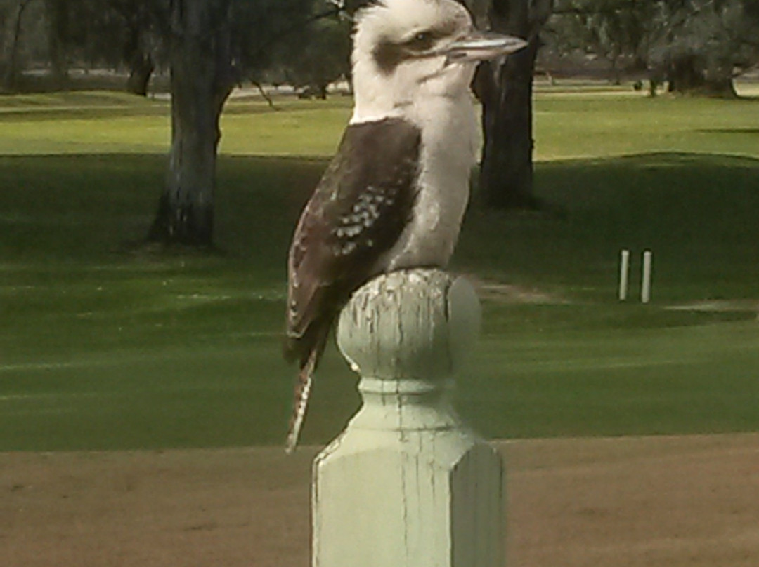 Riverside Golf Club-米尔杜拉必去景点