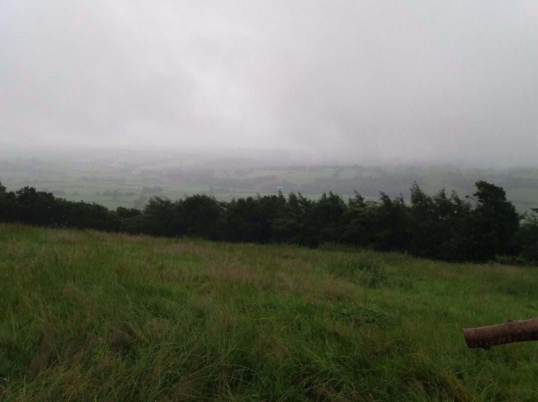 Merlin's Hill Centre & Bed and Breakfast景点图片