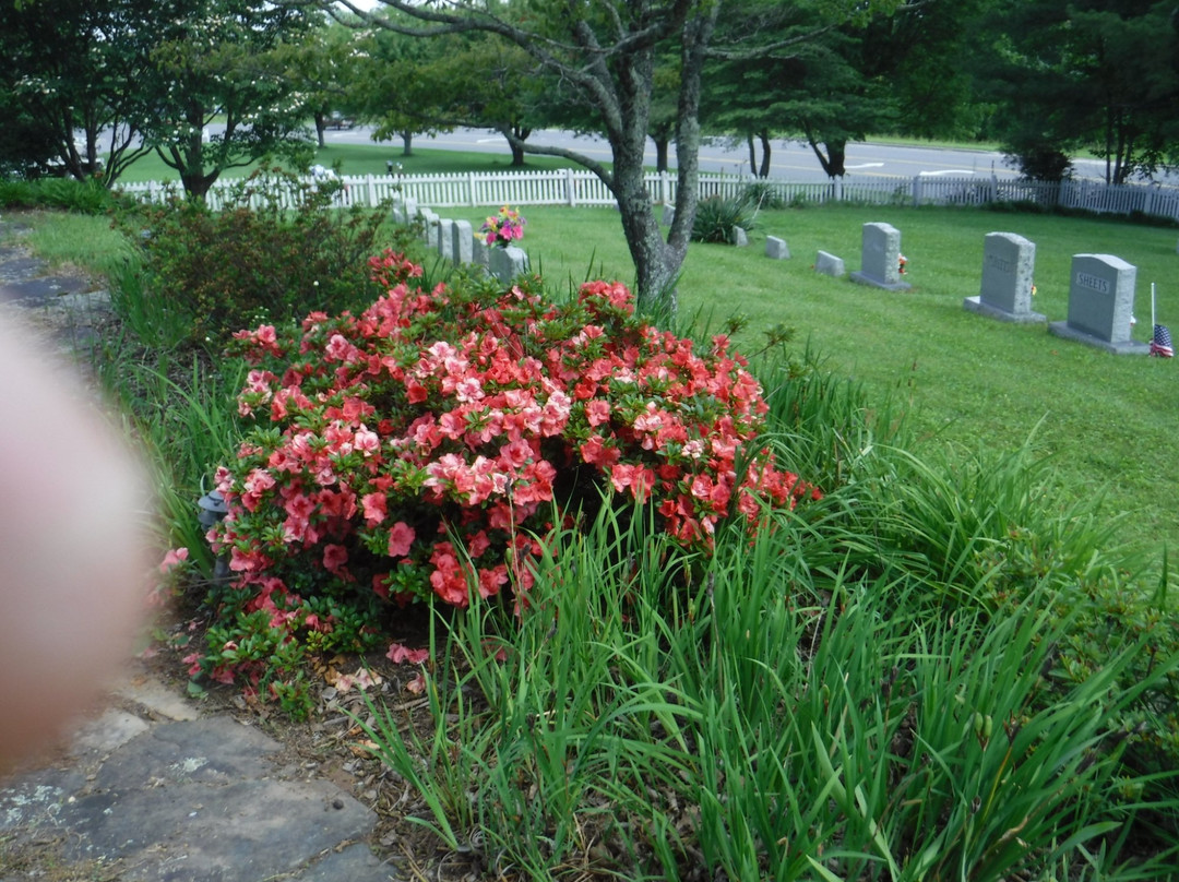 Glendale Springs旅游攻略图片