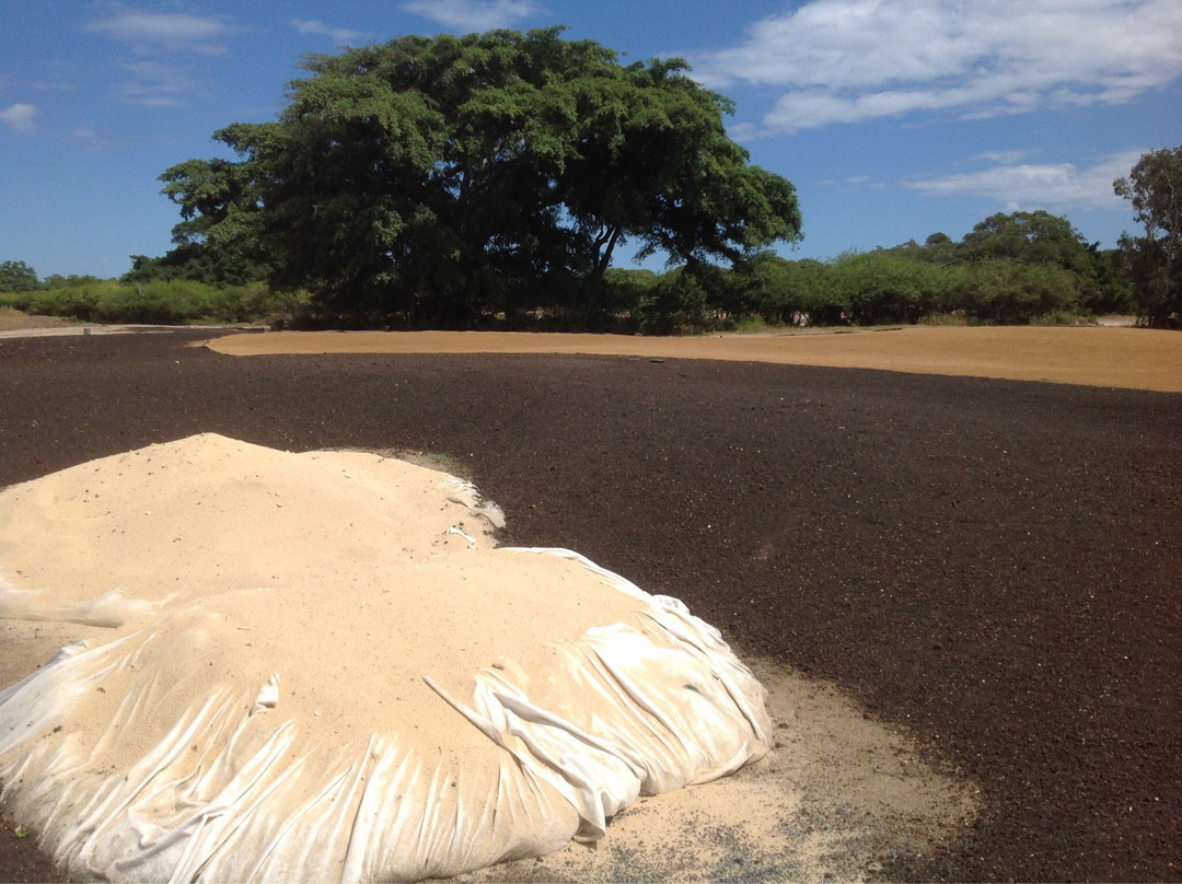 Exclusiv Golf de Deva-Bourail必去景点