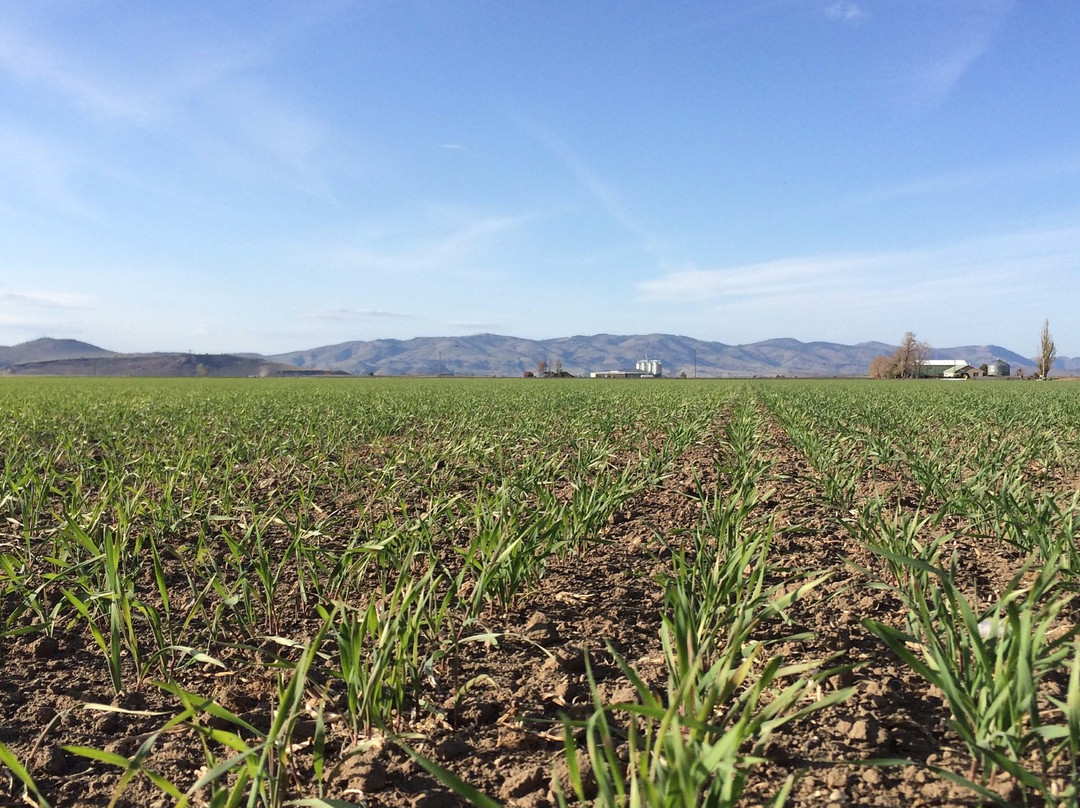 Mecca Grade Estate Malt & Tap Room-Madras必去景点