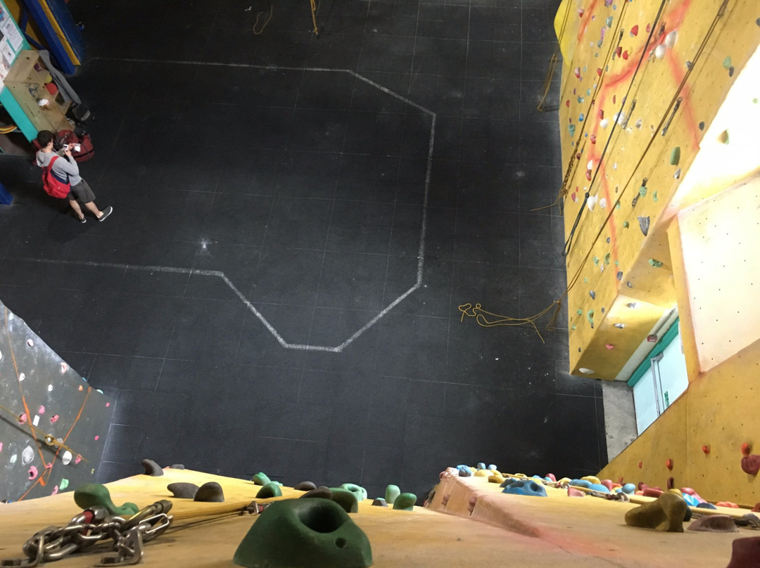 Dynamic Rock Adventures景点图片