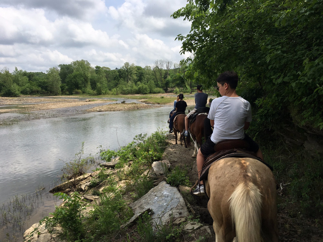 River Man Trail Rides景点图片