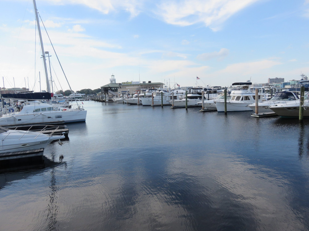 Tidewater Yacht Marina-朴次茅斯必去景点