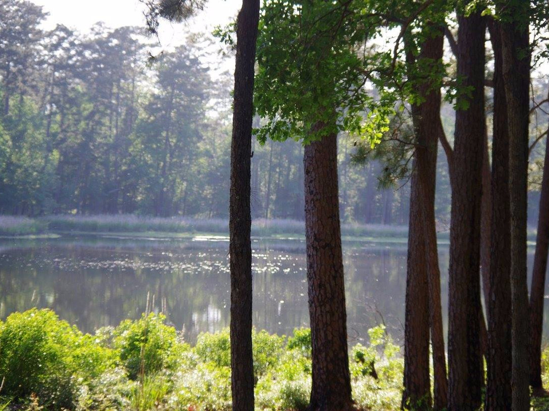 Davy Crockett National Forest-Ratcliff必去景点