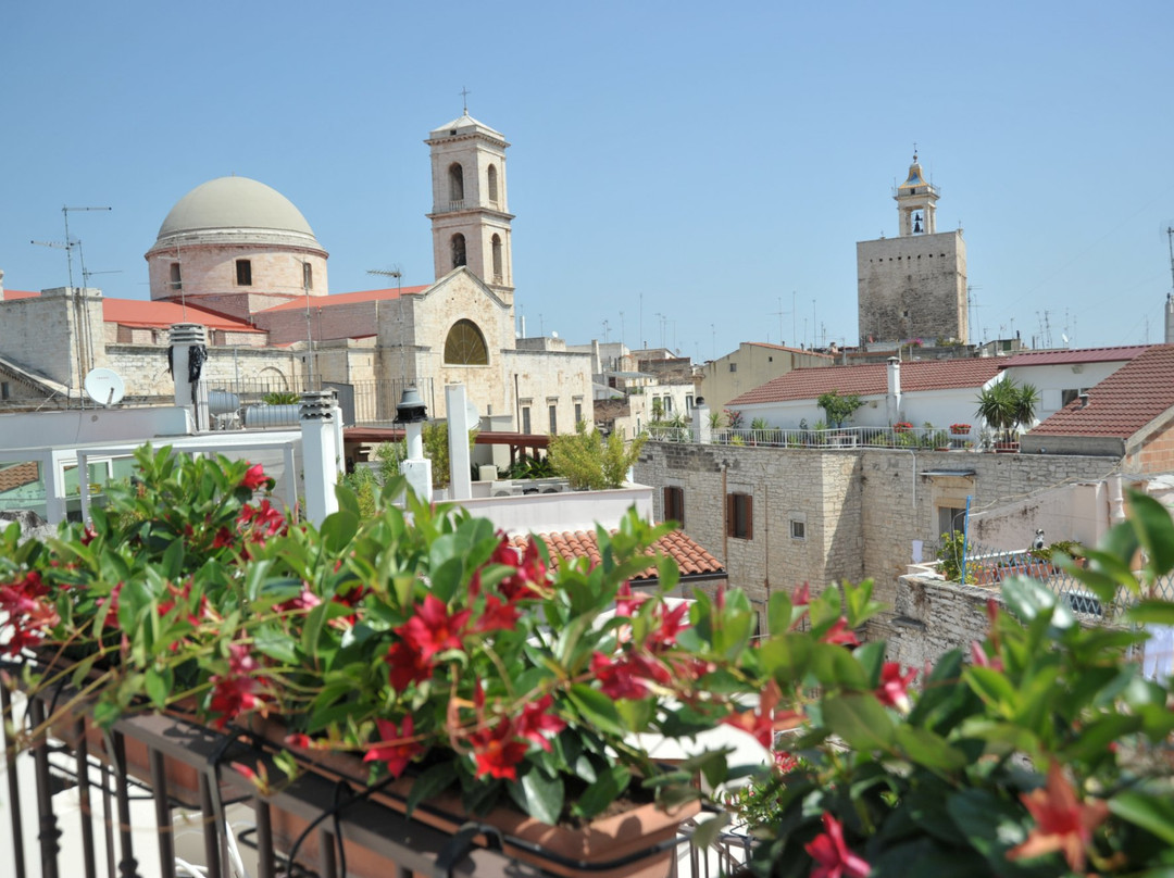 Terlizzi旅游攻略图片