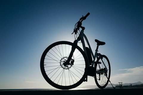 Bikes and More Mallorca-埃拉雷纳尔必去景点