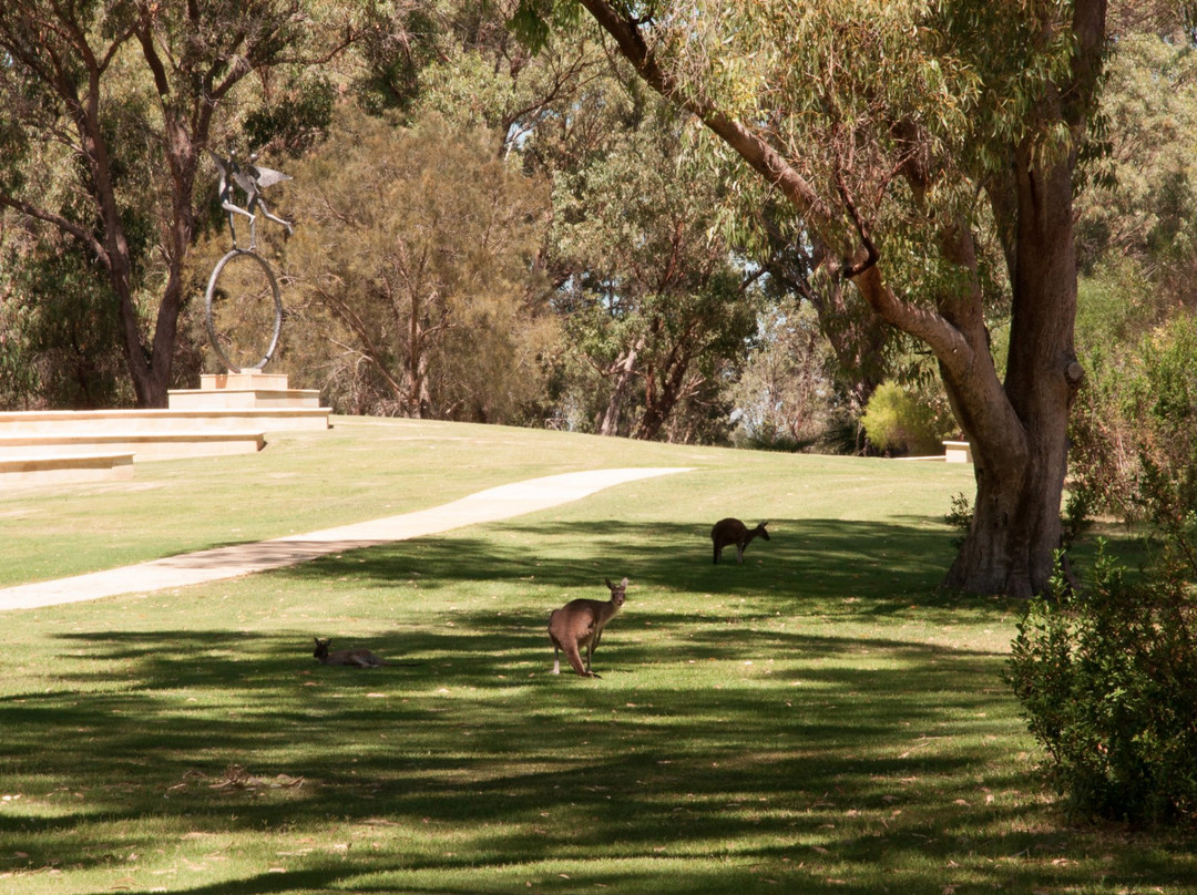 Pinnaroo旅游攻略图片