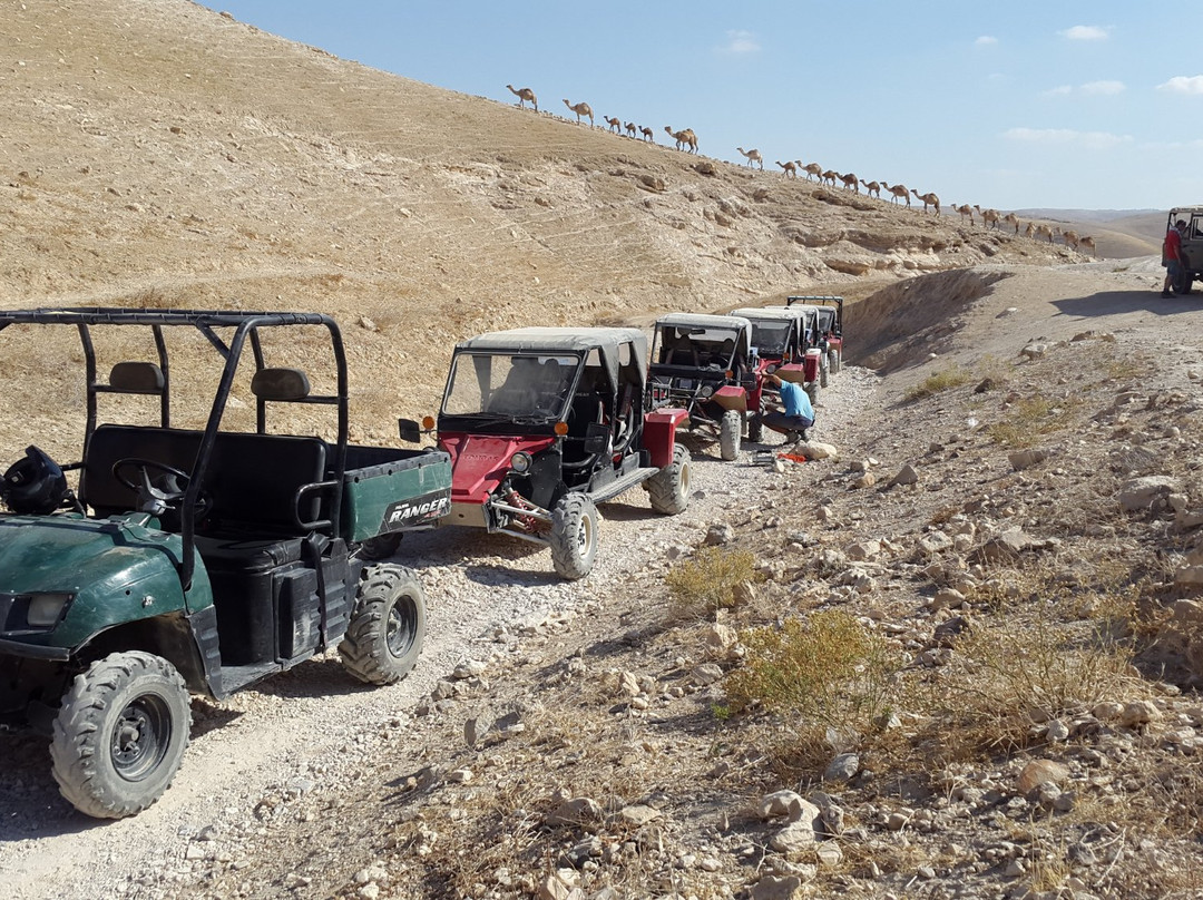 Cnaan Tours Desert Experience景点图片