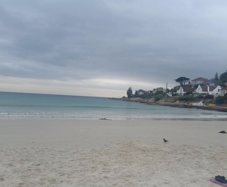 鱼角餐馆和美食-The Galley Restaurant