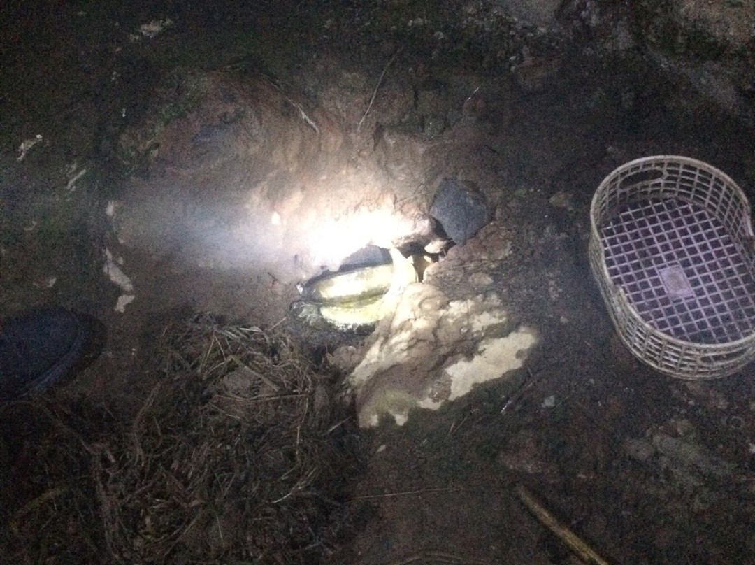 Bali Trekking Tour-水明漾必去景点