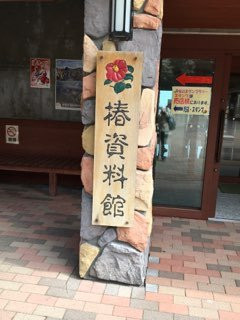 Tokyo Metropolitan Oshima Park Tsubaki Museum-大岛町必去景点