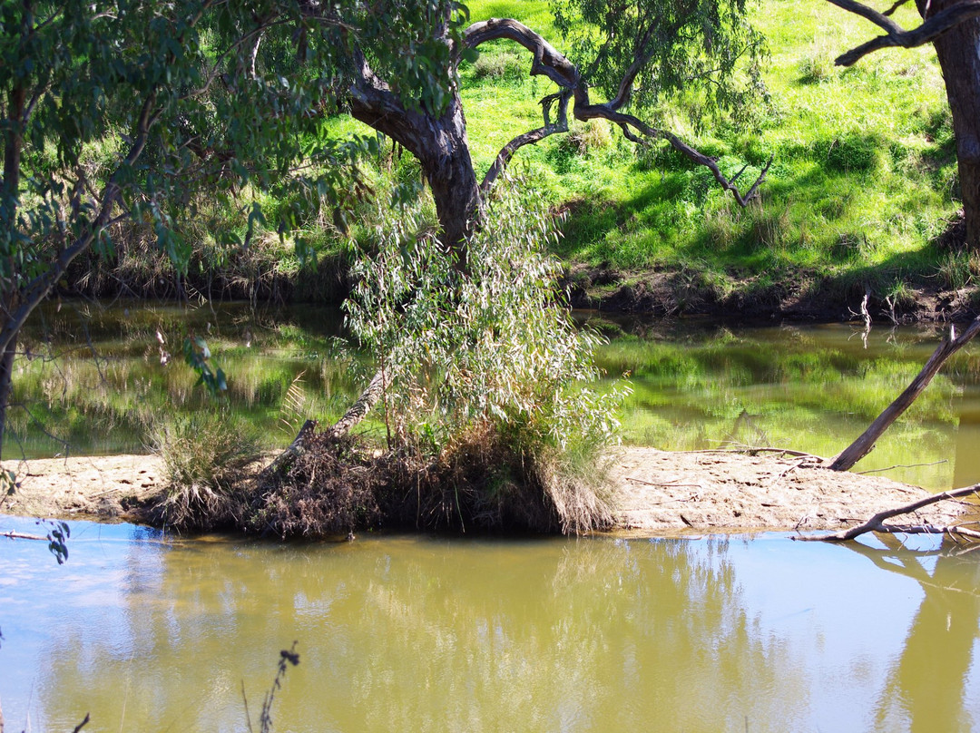 Axedale旅游攻略图片