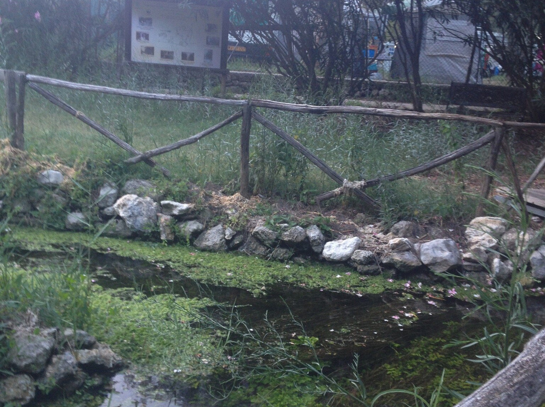 Oasi Archeologica-Naturalistica Necropoli - La Salata-维耶斯泰必去景点