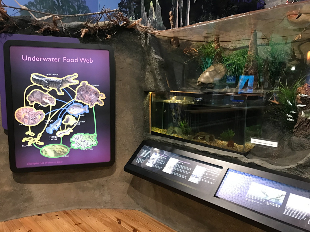 Daggerwing Nature Center-博卡拉顿必去景点