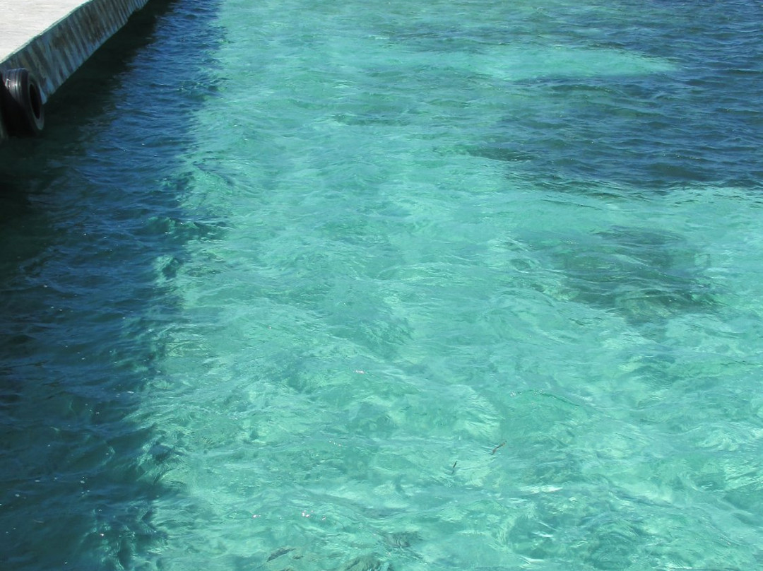 Parque Nacional de Arrecifes-Xcalak必去景点