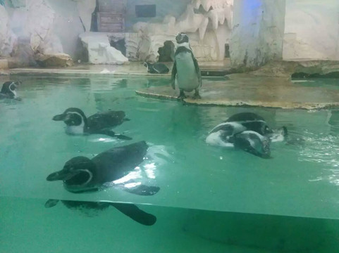 南京海底世界-南京市必去景点