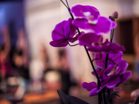 Yo-Mu-巴塞罗那必去景点