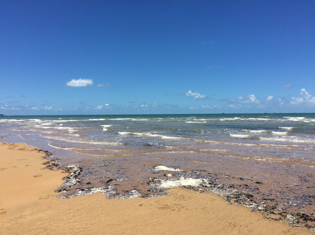 Salonika Beach-Hay Point必去景点