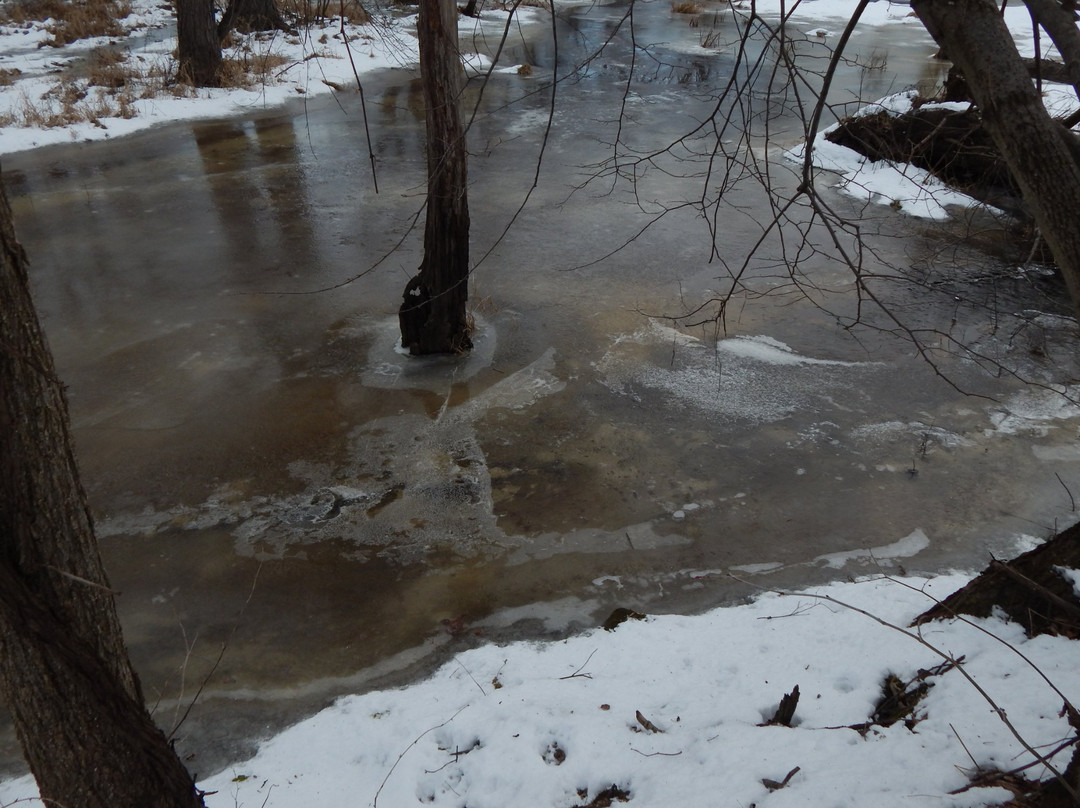 McGilvray Seven Bridges Road-Holmen必去景点