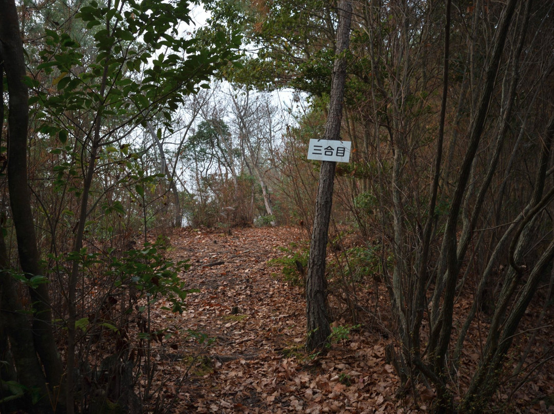 Mt. Takataki-矢挂町必去景点