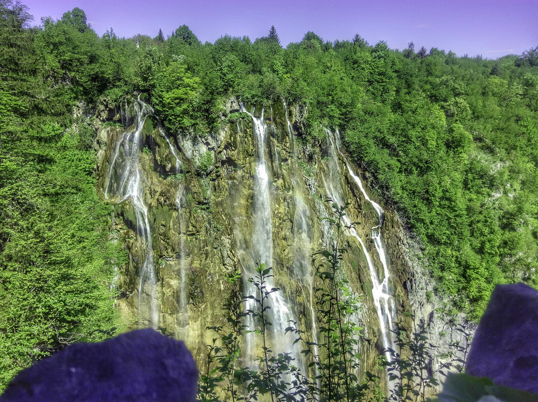 Camelus Adventures - Istrialand-布延必去景点