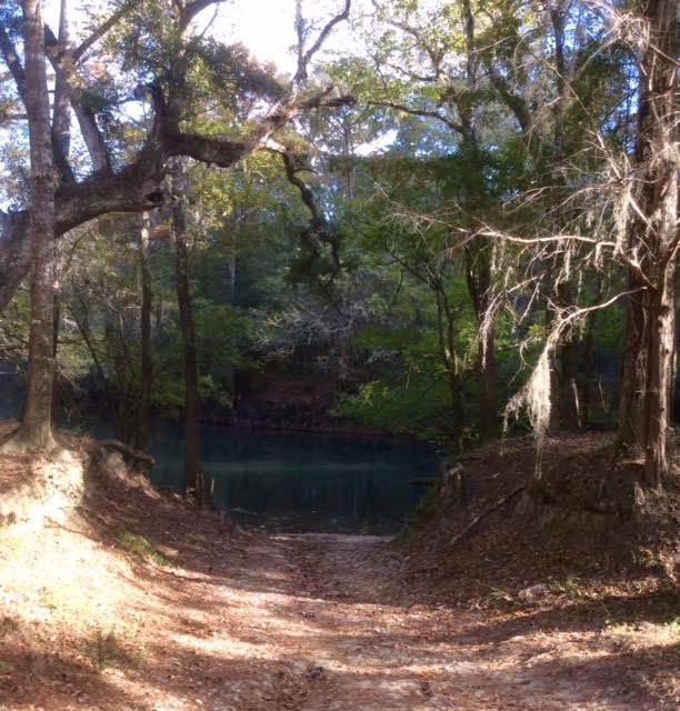 Hinson Conservation and Recreation Area景点图片