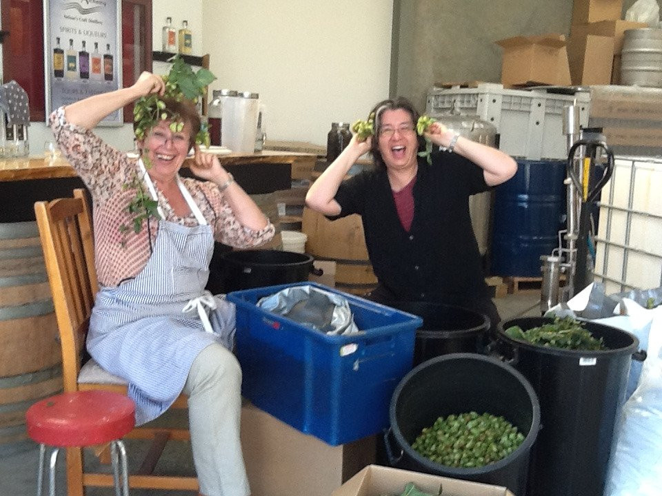 Liquid Alchemy-尼尔森必去景点