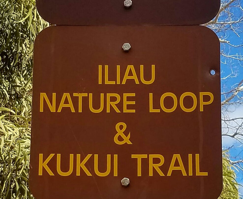 Iliau Nature Loop Trail-威美亚必去景点