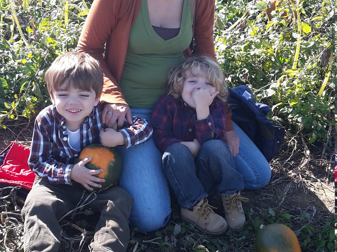Jumbo's Pumpkin Patch-Middletown必去景点