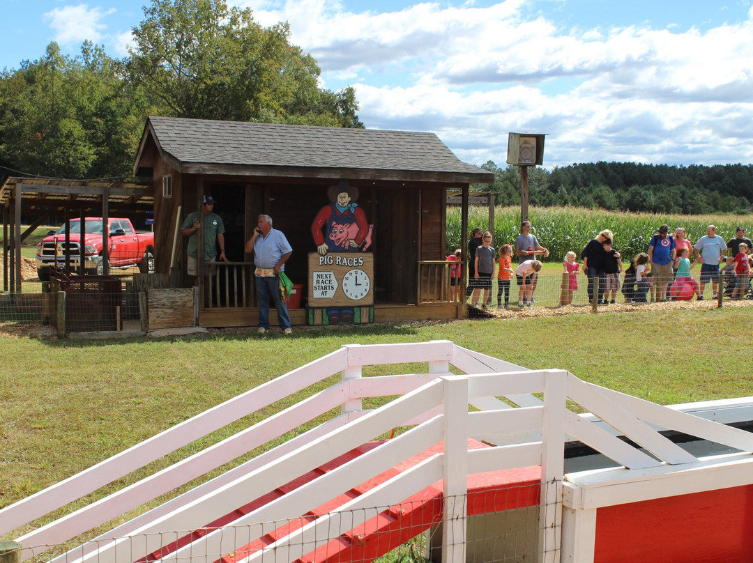 Washington Farms-Watkinsville必去景点