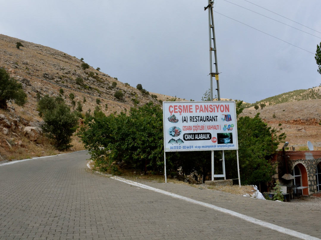 Nemrut Cesme Pension主图
