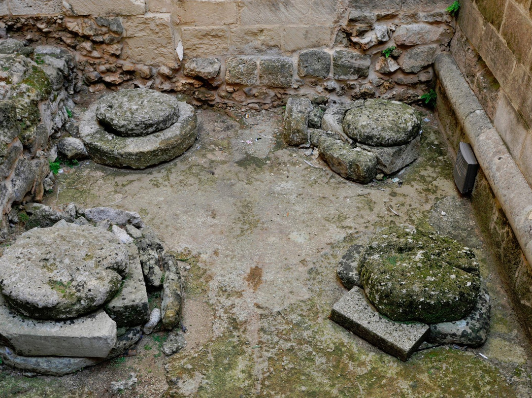 Muro Leccese旅游景点-Palazzo del Principe