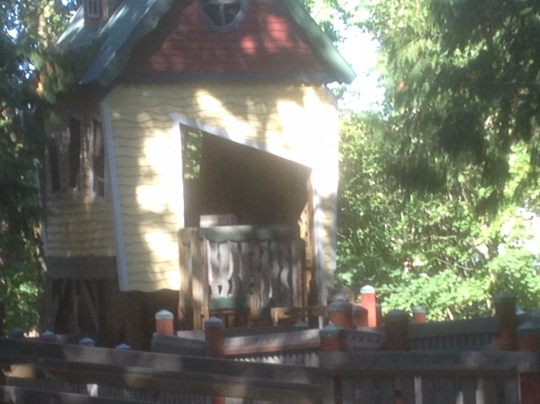 City Park (Million Smiles Playground Park)-Lynden必去景点