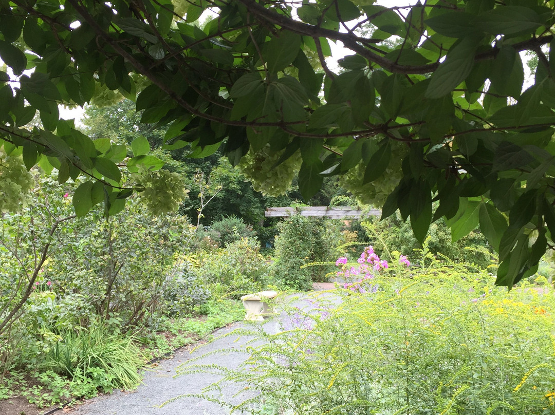 Grandmother's Garden景点图片
