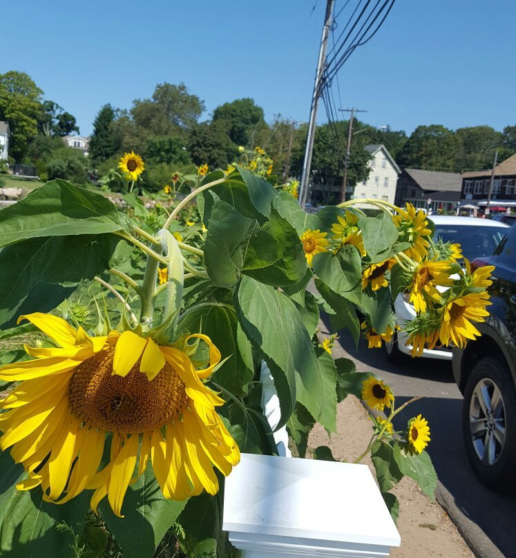 Route 146 Scenic Drive-布兰福德必去景点