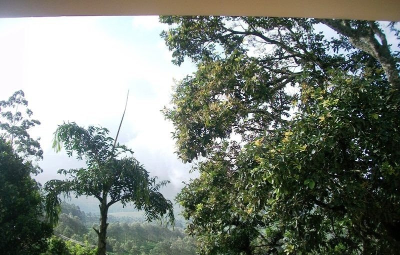 Anamudi Shola National Park景点图片