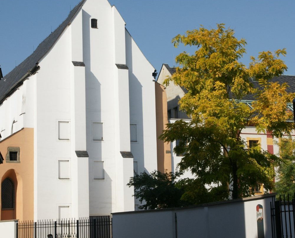 Dominican Church of St. Vaclav景点图片