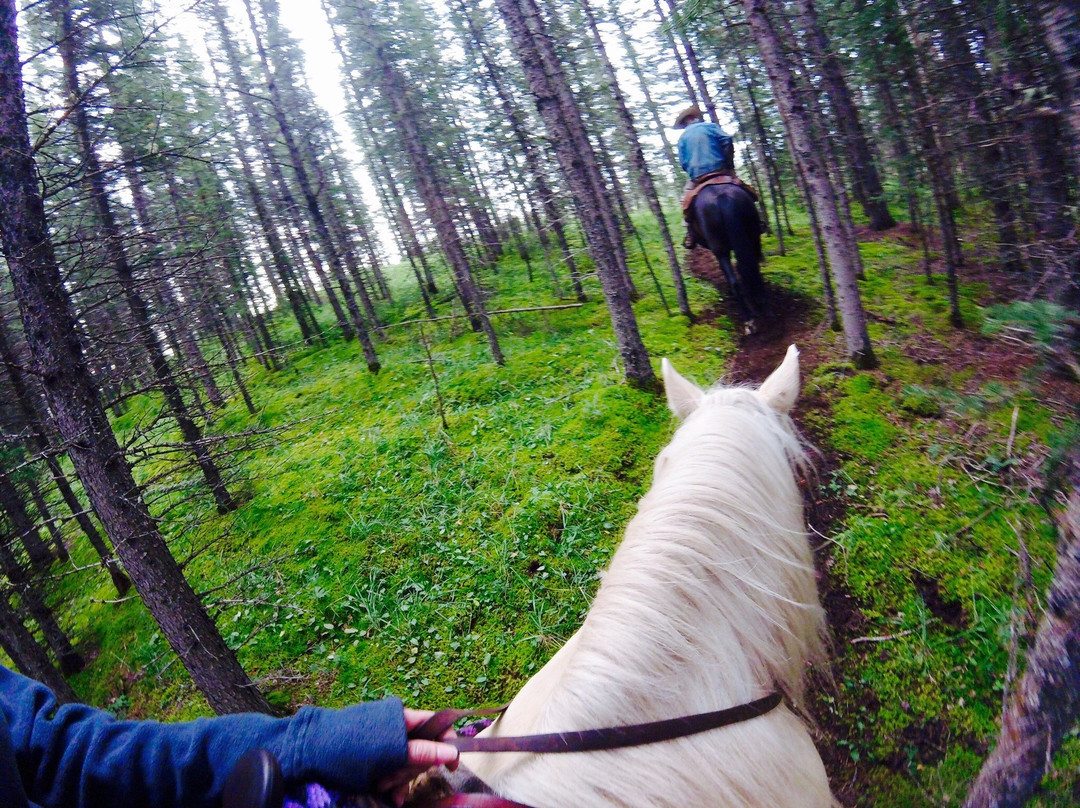 Entrance Ranch-兴顿必去景点