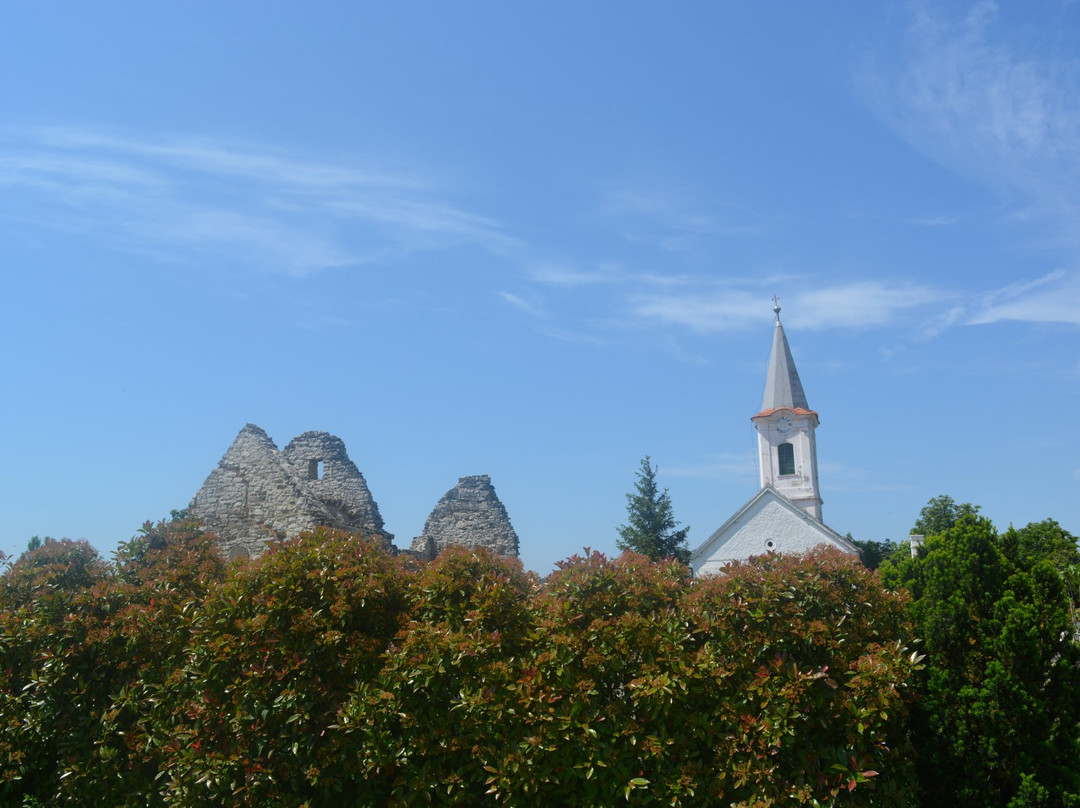 Levendárium Shop-Dorgicse必去景点