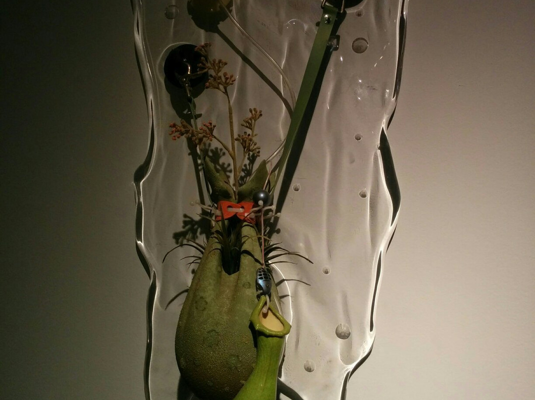 Petach Tikva Museum Of Art-Petah Tiqwa必去景点