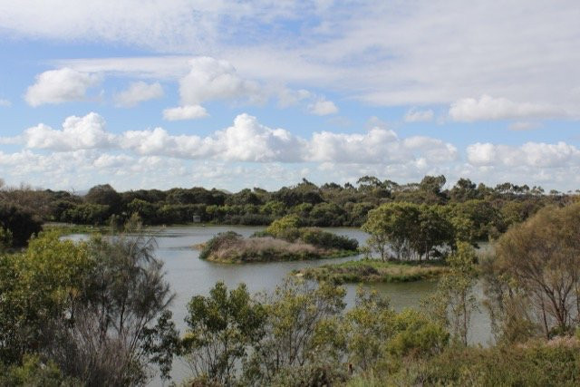 Lake McIntyre-Millicent必去景点