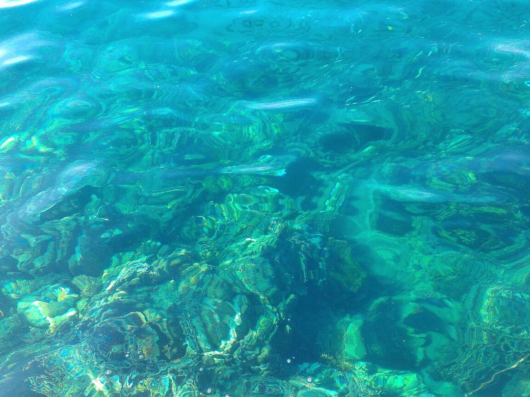 Bonhomie Leisure & Resort主图