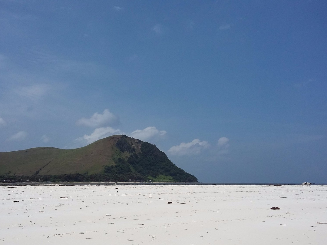 2024年4月Cuyo Island旅游景点攻略-Cuyo Island旅游住宿,-Cuyo Island旅游美食-猫途鹰