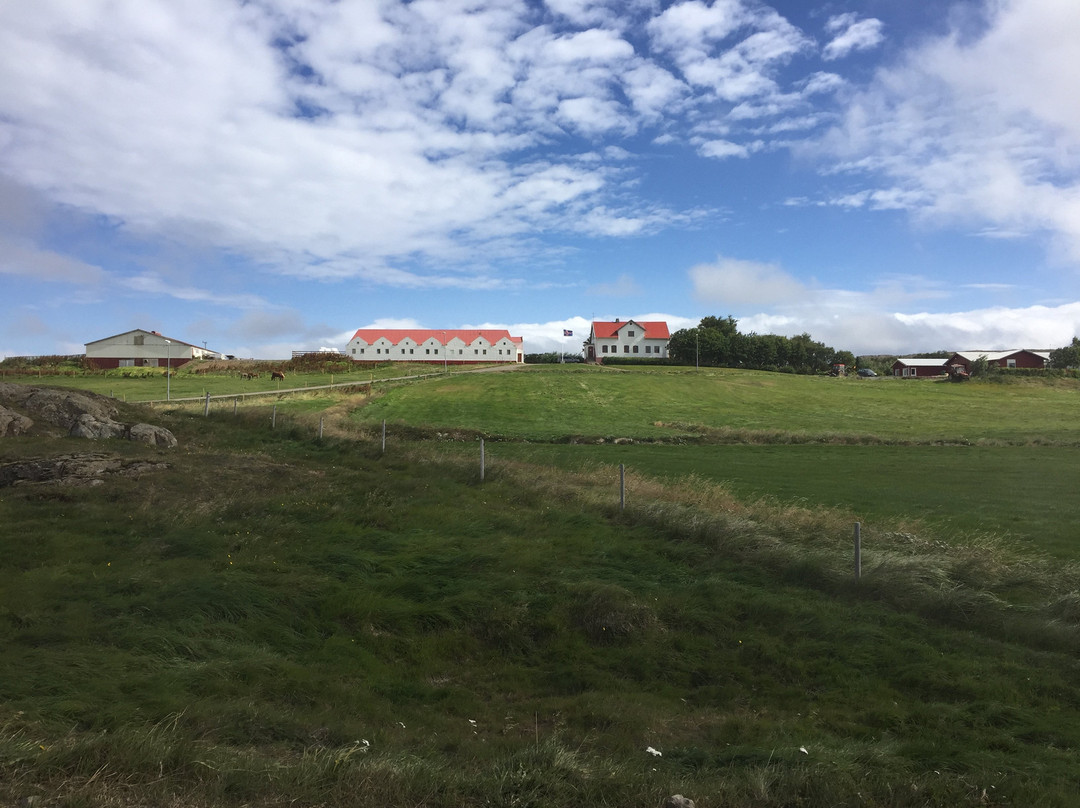 Saudarkrokur酒店住宿-Helluland Guesthouse