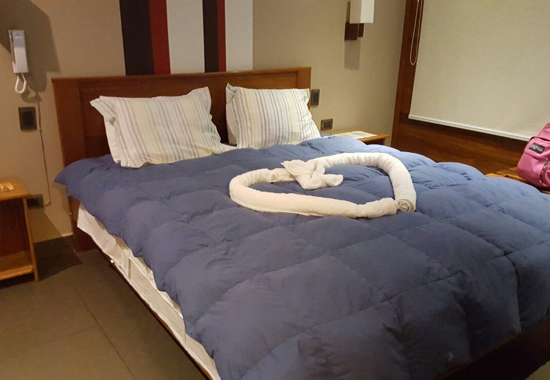 奥克萨潘帕酒店住宿-Hotel Heidinger