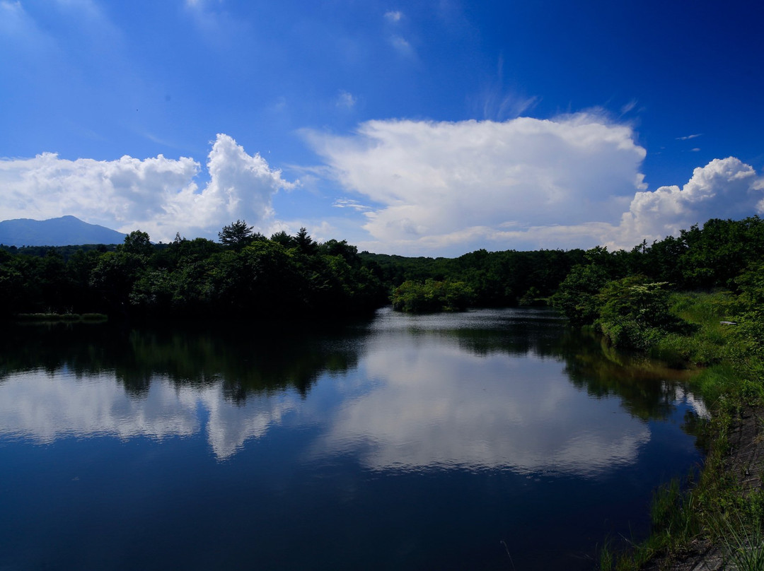 Happogahara-矢板市必去景点